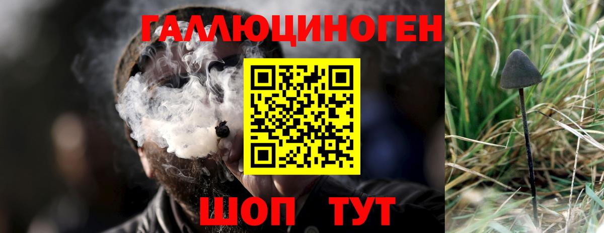 Ульяновск  Галлюциногенные грибы Psilocybe  Вход с VPN  Галлюциногенные грибы мухоморы 